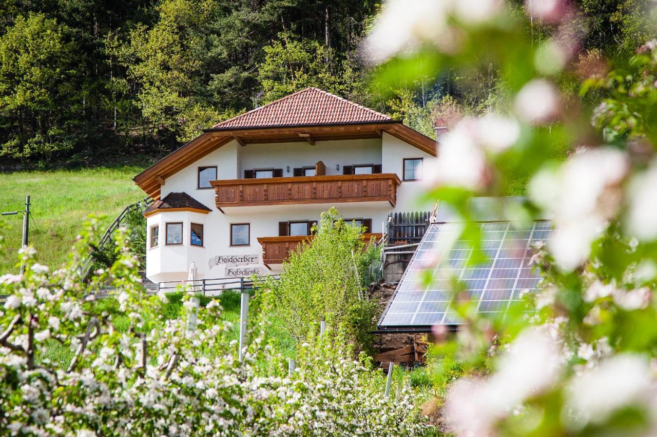 Haidgerberhof - Apartments & Homemade Food Longostagno Exterior photo